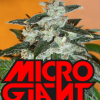 microgiant microgenetica