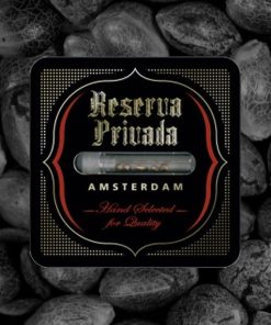 Reserva Privada Mix Pack - Femminizzati Stagionali