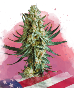 nirvana weddingcake