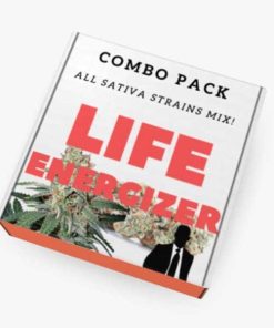 Mix Sativa - Femminizzati Stagionali