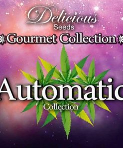 Gourmet Collection Auto #2 - 9 Femminizzati Autofiorenti
