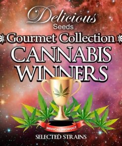 Gourmet Collection Cannabis Winner #1 - 9 Femminizzati