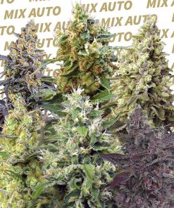 Sweet Mix Auto