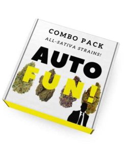 Mix Autofiorenti - Fun! - Autofiorenti Femminizzati