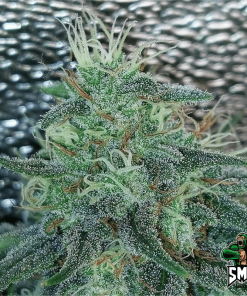 banana candy3