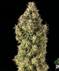 monster zkittlez2