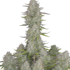 wedding cheesecake auto