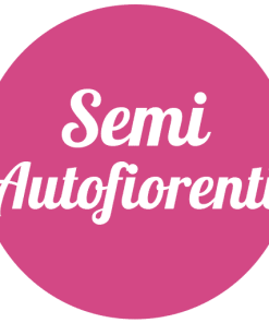 Semi Autofiorenti