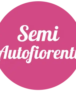 Semi Autofiorenti