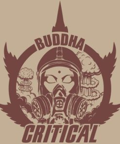 Alternative view of Buddha Critical - Femminizzati Stagionali