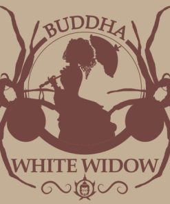 Alternative view of Buddha White Widow - Femminizzati Stagionali
