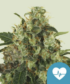 medical mass