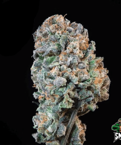 gelato auto3