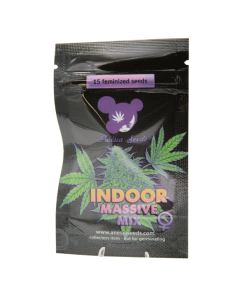 Indoor Massive Mix - Femminizzati Stagionali