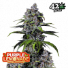 Purple Lemonade FF Fast Buds