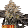 fastbuds gorilla cookies ff
