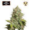 cbd critical xxl auto