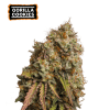 gorilla cookies fem