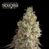 mac and crack auto