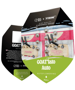 Alternative view of GOAT'lato Auto - Tyson 2.0 - Autofiorenti Femminizzati