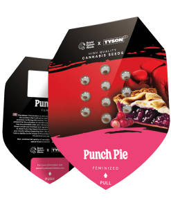 Alternative view of Punch Pie - Tyson 2.0 - Femminizzati Stagionali