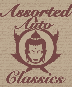 Assorted Auto Classics - 10 semi femminizzati autofiorenti