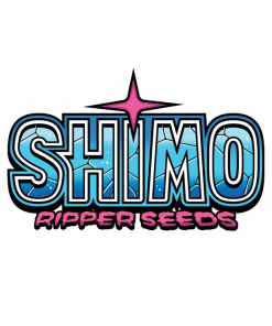 Alternative view of Shimo - Femminizzati Stagionali