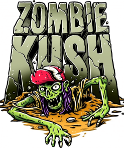 Alternative view of Zombie Kush Auto - Autofiorenti Femminizzati