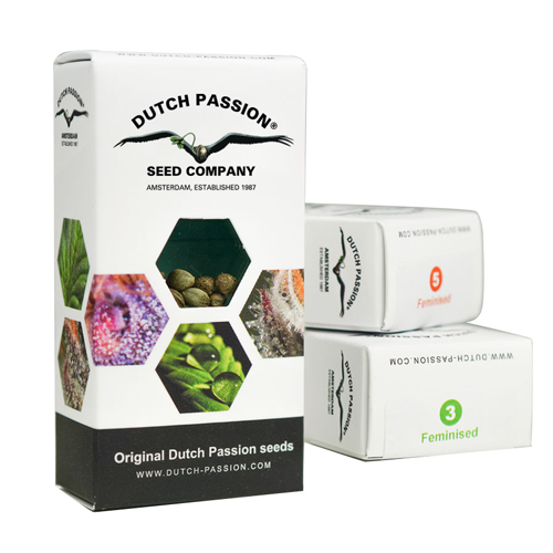 dutch passion packaging