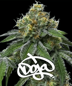 barneysfarm stag rs11xbananaog