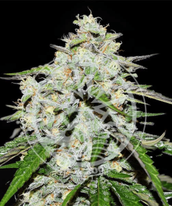 delicious auto spacecookies