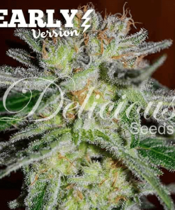 delicious early northernlight