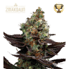 seedstockers zmakdaun