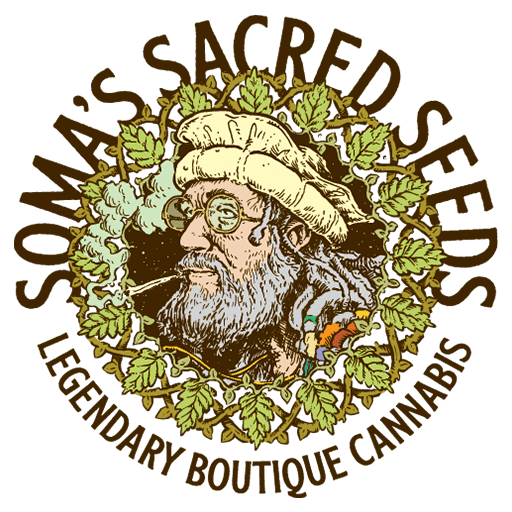 Soma Seeds