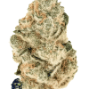 fastbuds gorillalemon
