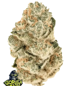 fastbuds gorillalemon