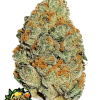 fastbuds lemonmandarin
