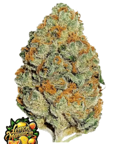 fastbuds lemonmandarin