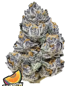 fastbuds rainbowmelon