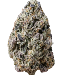 biscotti gelato fem