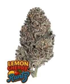 lemon cherry runtz
