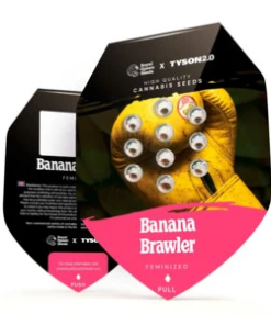 banana brawler 2