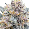 fastbuds autorf3 guava cherrycola