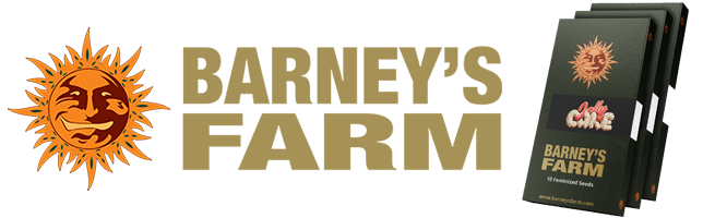 banner barneys farm seedsline