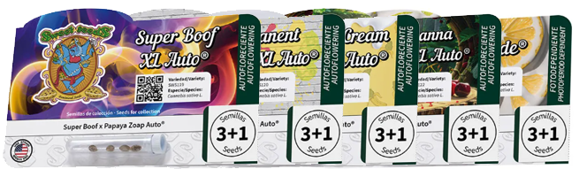 banner sweet seeds seedsline