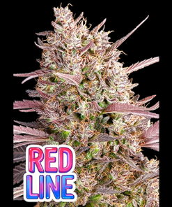 red line