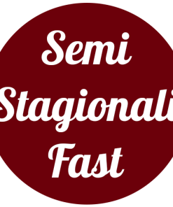 Semi Fast