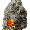 cannabissamen fastbuds gary sherbet 3er