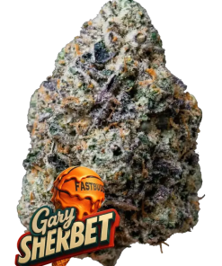 cannabissamen fastbuds gary sherbet 3er