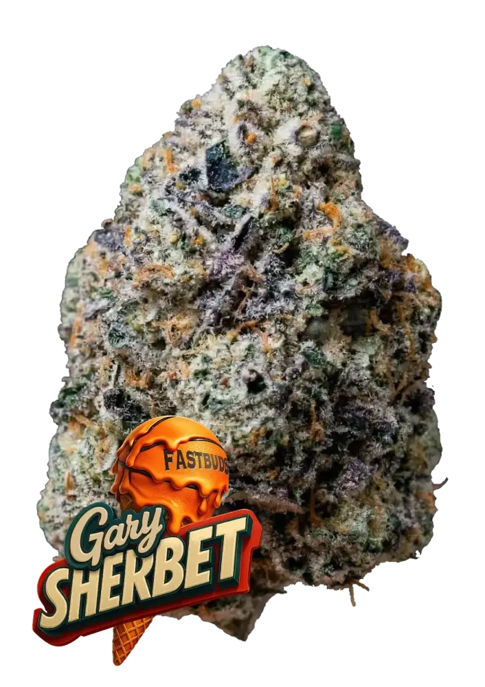 cannabissamen fastbuds gary sherbet 3er